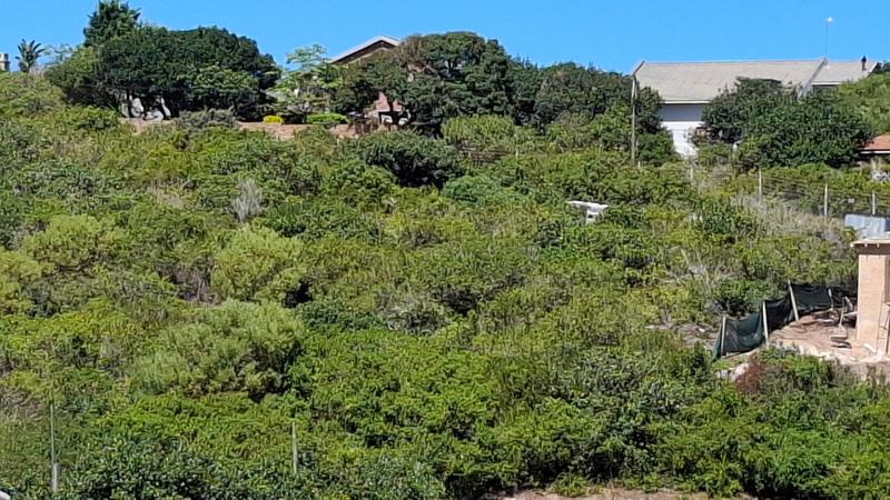 0 Bedroom Property for Sale in Groot Brakrivier Rural Western Cape